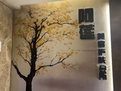 -阿莲新妆护肤造型