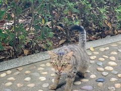 -厦门国家会计学院