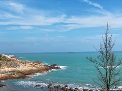 -广东惠东海龟国家级自然保护区