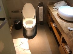 -麗枫酒店(广州天河客运站地铁站店)