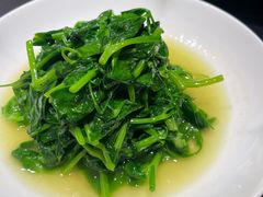 -羊门客在·烤盐池滩羊·川菜