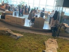 -Seesaw Coffee(朝阳大悦城店)