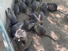 -常州淹城野生动物世界