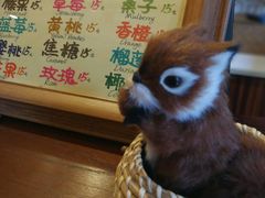 -狐狸家·酸奶酪专门店(平江路店)