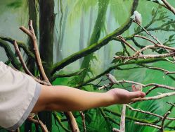 -Zoolung Zoolung动物主题公园(海信广场店)