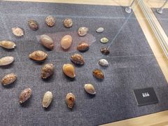 -中国港口博物馆