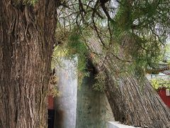 -天宁寺