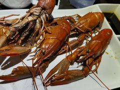 -虾胡闹·澳洲小龙虾·烧烤(福田鲨鱼店)