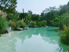 -吴淞炮台湾湿地森林公园烧烤区