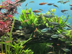 -太平洋海底世界