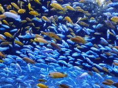 -成都浩海立方海洋公园