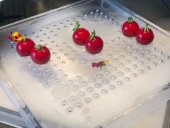 -双海潮·海鲜融合菜(如是海店)