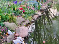 -上海共青森林公园