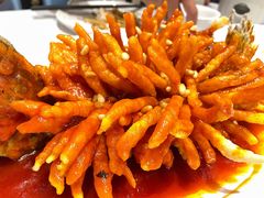 -眉州东坡(团结湖店)