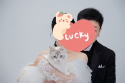 点击看大图 -金夫人婚纱摄影(总店)