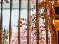 -桂满陇·海市蜃楼·黑金(国金店)