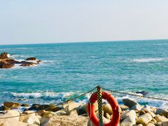 -广东惠东海龟国家级自然保护区