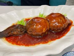 -丁老爷子苏香圆