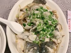 香葱淋鲈鱼-粤·向群饭店(龙津东路总店)