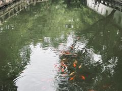 -西园戒幢律寺