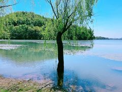 -宁波富邦荪湖山庄