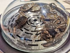-蓝珊甄选海鲜自助·火锅大排档(近阿那亚店)