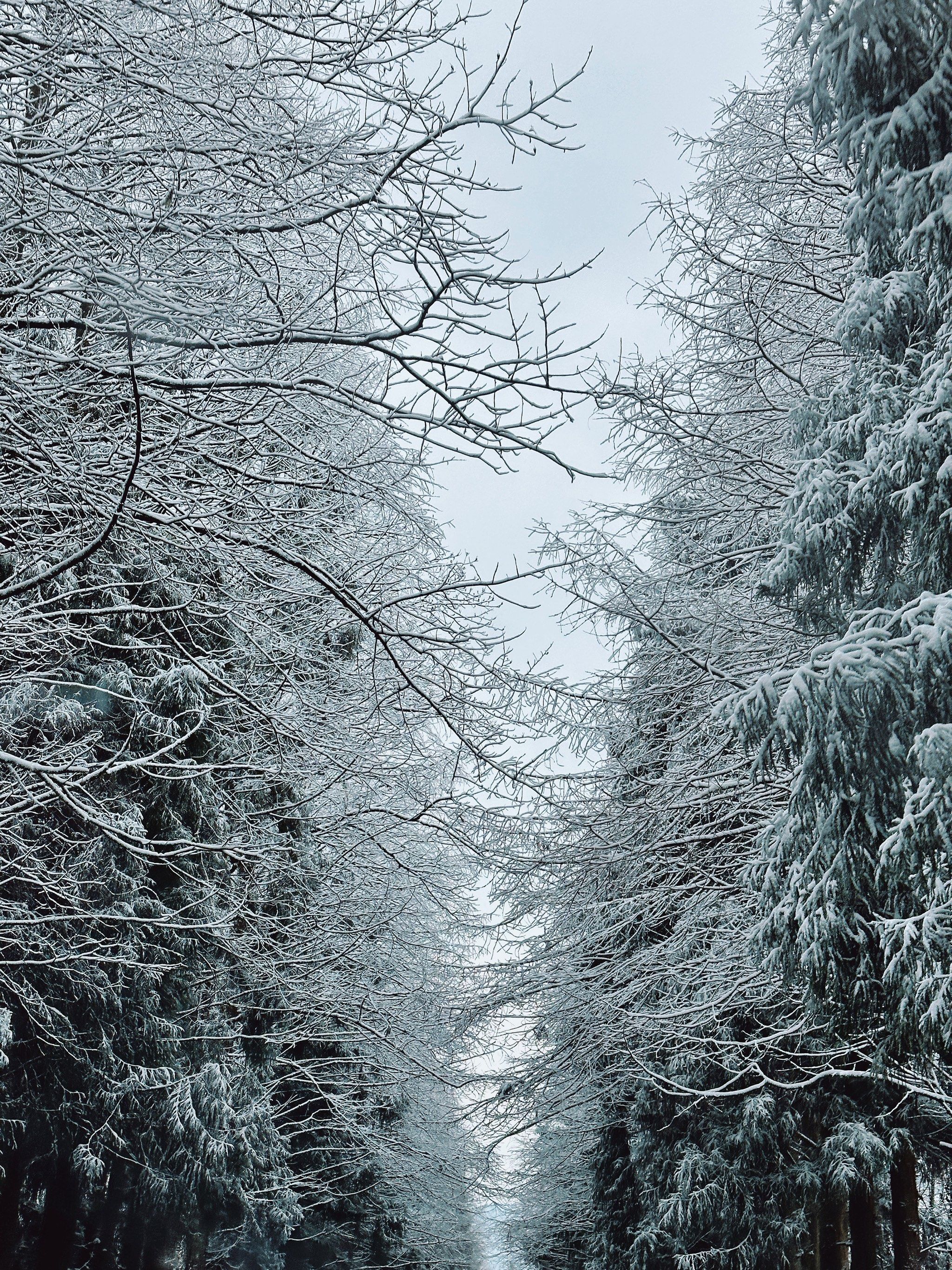 手机摄影雪景拍摄教程,技巧大全 手机摄影雪景拍摄教程,技巧大全