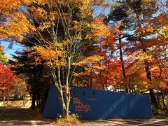 -轻井泽高原教堂