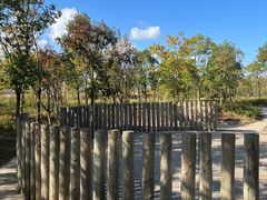 -春花秋色城市公园