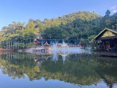 -西双版纳原始森林公园