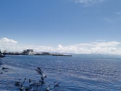 -青海湖国家重点风景名胜区