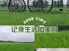 -左步村