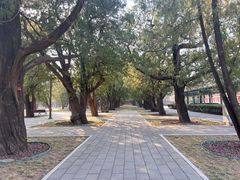 -北京市劳动人民文化宫(太庙)