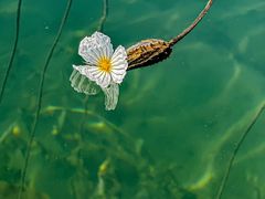 -丽江泸沽湖景区