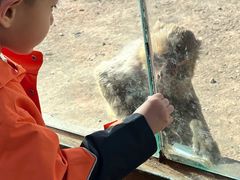 -大青山野生动物园