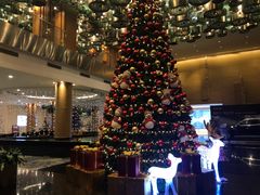 -青岛海尔洲际酒店