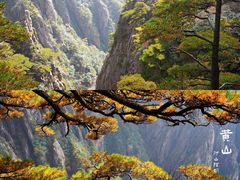 -黄山风景区