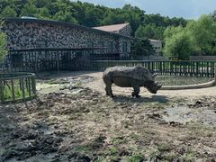 -哈尔滨北方森林动物园