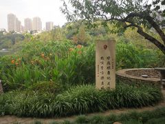 -重庆彩云湖湿地公园