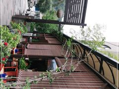 -先机泉水鸡汤(南山老君洞店)