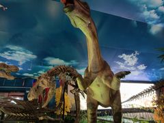 -诸城市恐龙博物馆