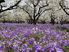 -江苏三台山国家森林公园