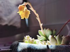 -好人民间小吃(镇江八佰伴店)