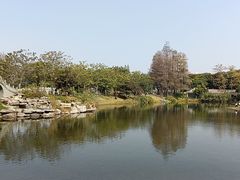 -四海公园(南山区)
