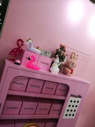 -Priscilla皮肤管理中心