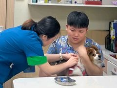 -康成宠物医院24H·CT·核磁共振