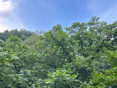 -洛阳白云山景区