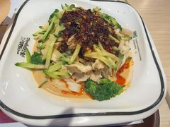 -魏家凉皮(大差市店)