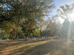 -盘龙城国家考古遗址公园