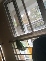 -复旦大学附属妇产科医院(黄浦院区)